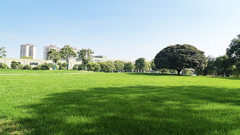 南宮·NG28傳感器工廠(chǎng)